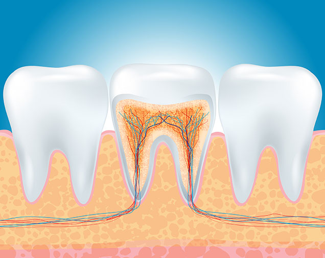 Your Root Canal Therapy Needs | Kelowna General & Family Dentist | Brookside Dental Centre | Kelowna, BC